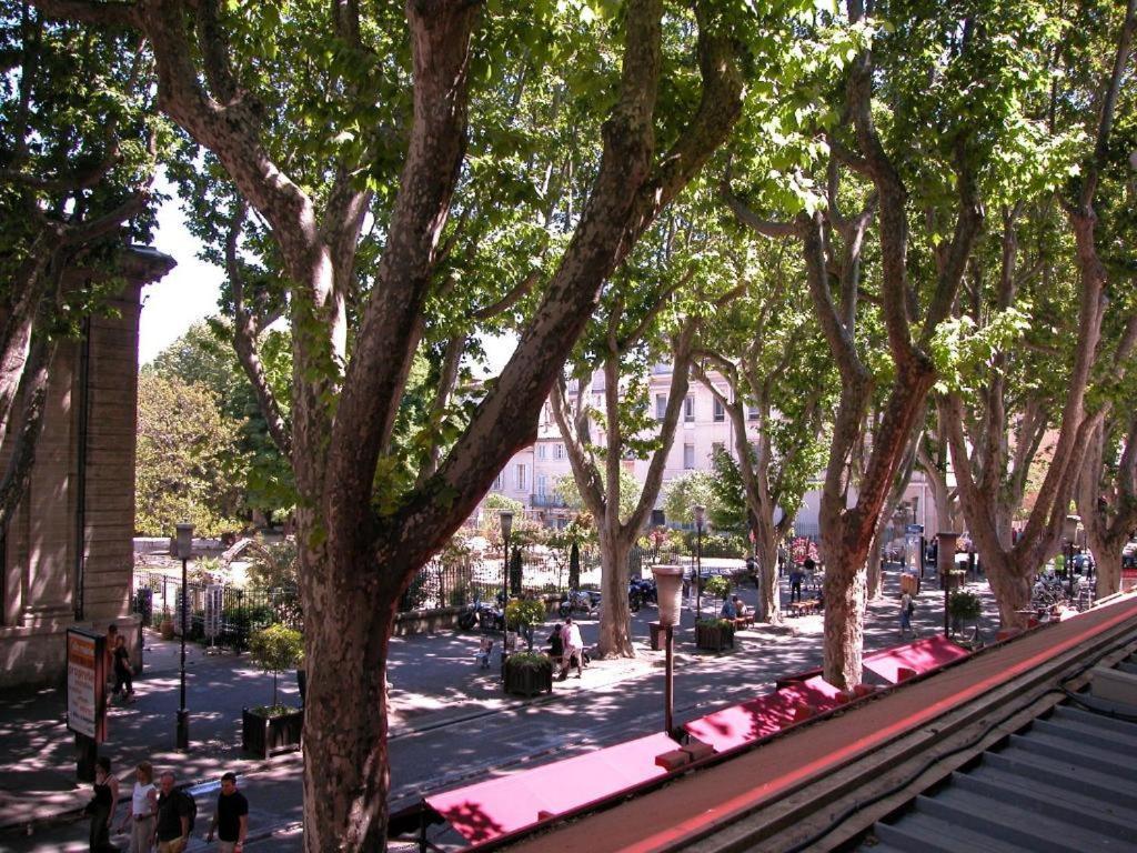 Hotel Alizea Avignon