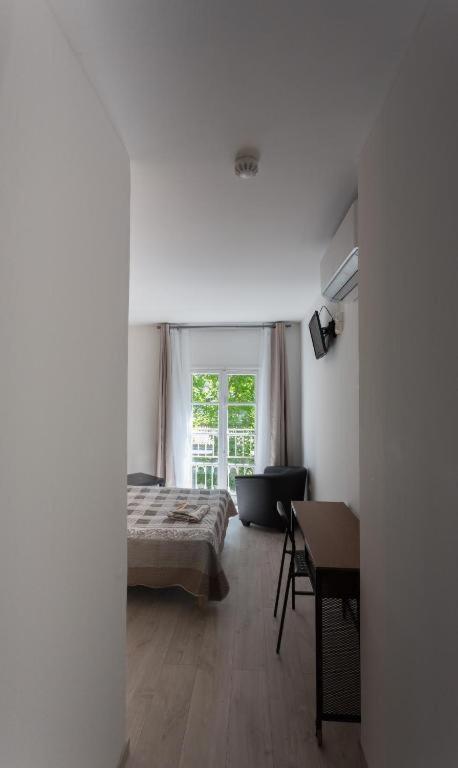 Alizea Avignon
