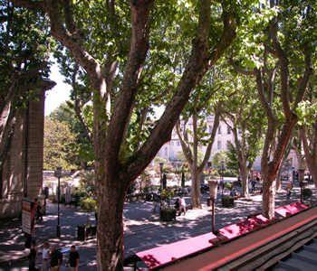 Alizea Hotel Avignon